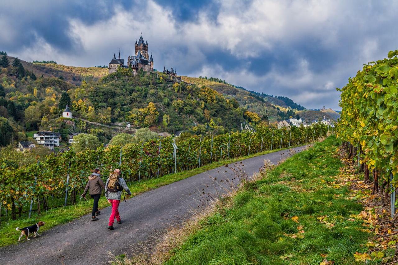 Haus Daniela Superior Daire Cochem Dış mekan fotoğraf